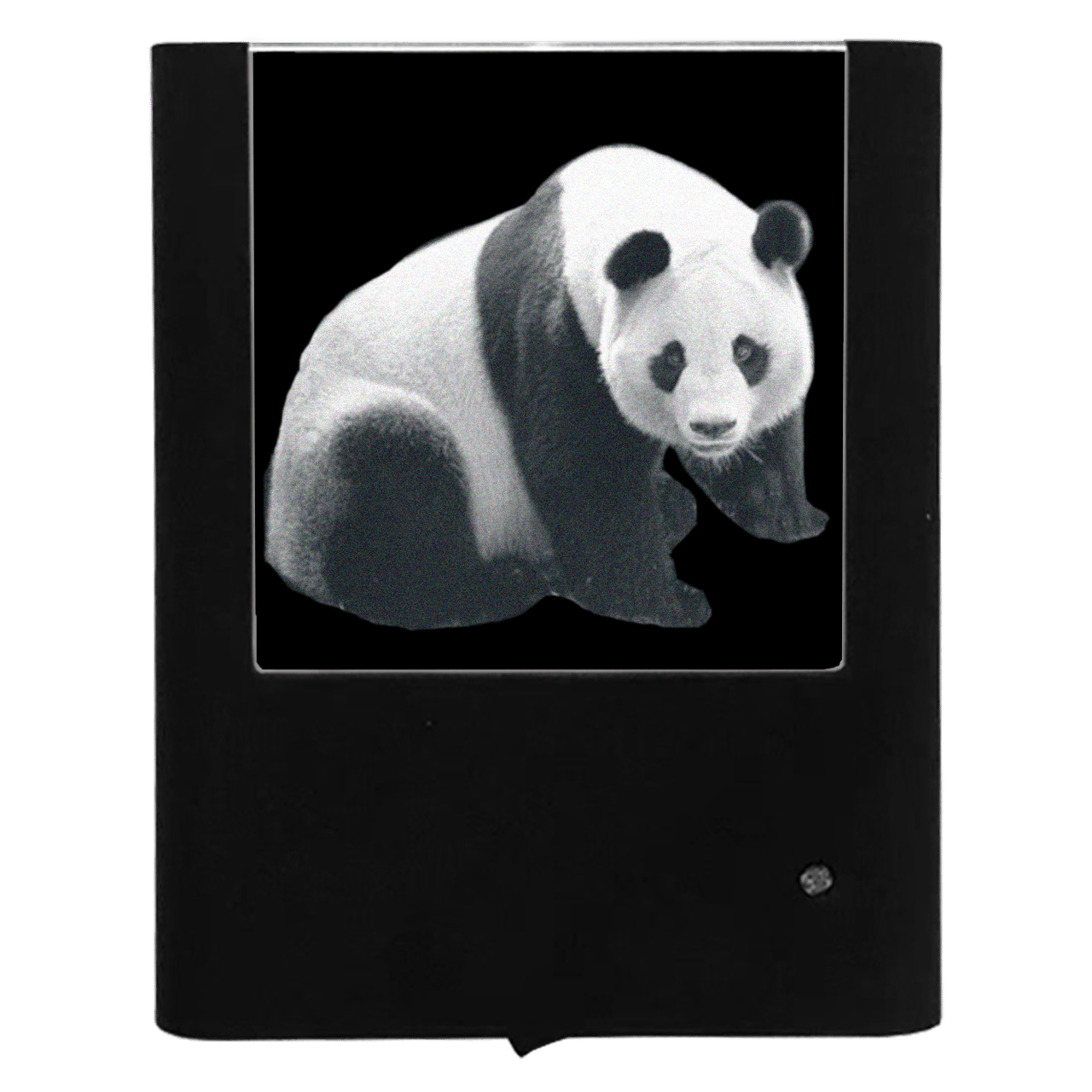 Nightlight Studio - Wholesale Night Light - Panda Bear0
