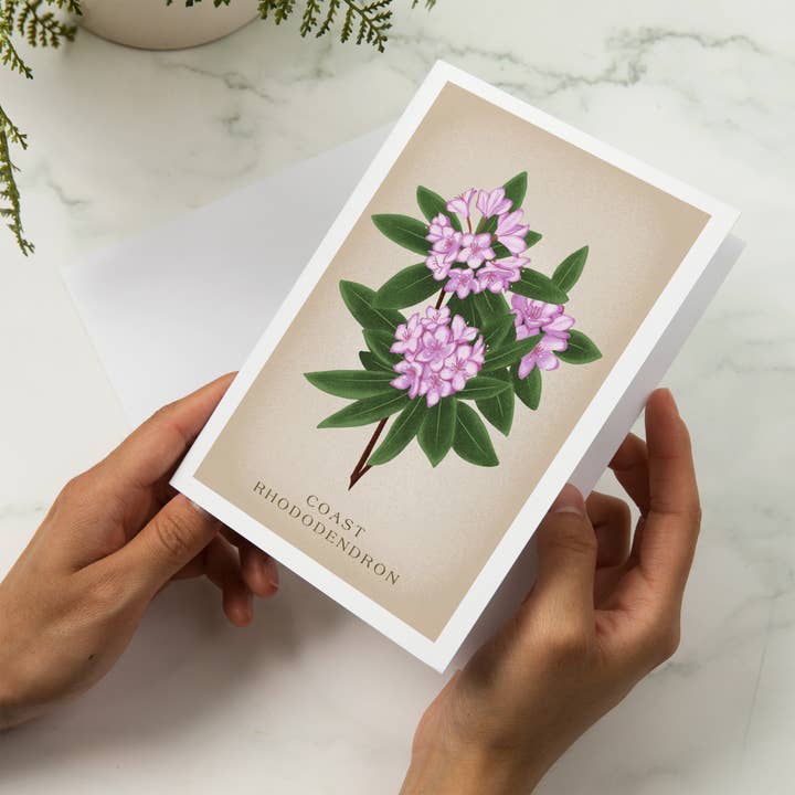Lantern Press - Wholesale Everyday Greeting Card - GREETING CARD Vintage Flora, Coast Rhododendron5