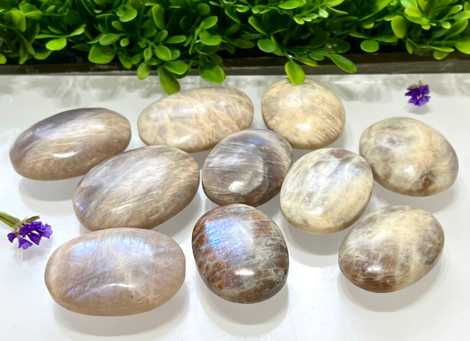 KayleeNYC - Wholesale Spiritual Stone/Crystal - 2 Lbs Natural Moonstone Palm Stone Crystal Nice Quality1