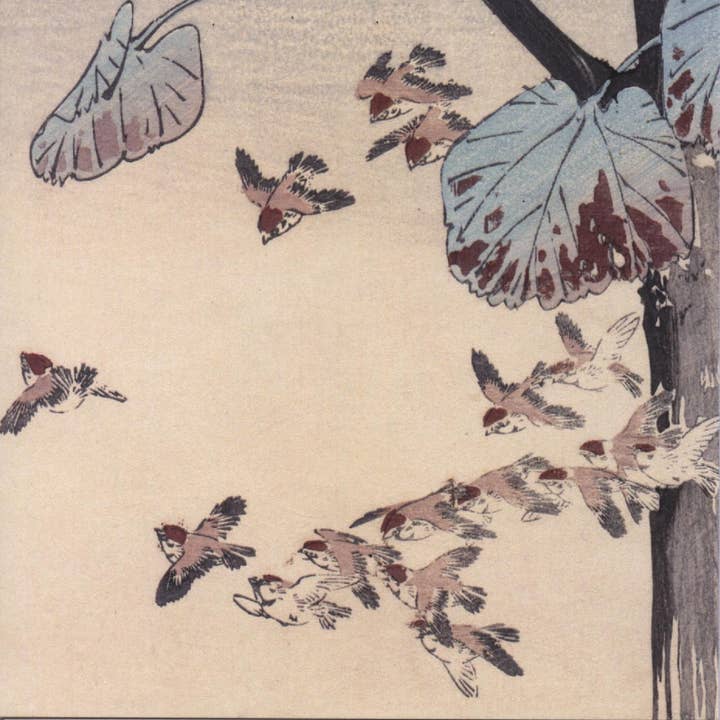 CATCH 12X12 DOUBLE CARDS NC 34778 (A) for wholesale by Phenicia