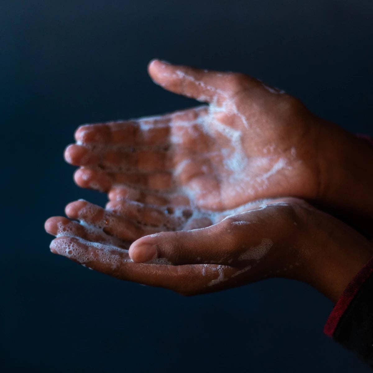 The Primal - Wholesale Bar Soap - Sweet Orange Charcoal Tallow Soap4