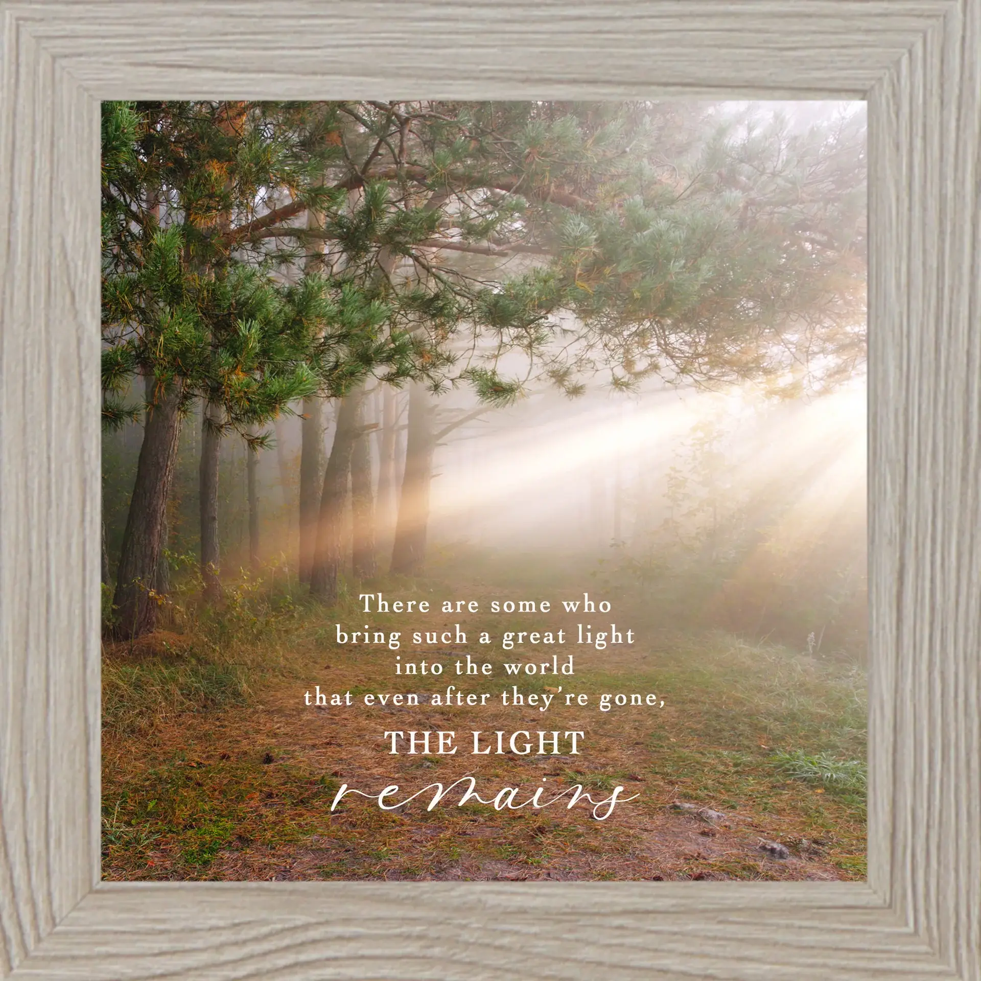 Summer Snow Art - Wholesale Sign - There Are Some Who Bring Great Light Into The World Sympathy10