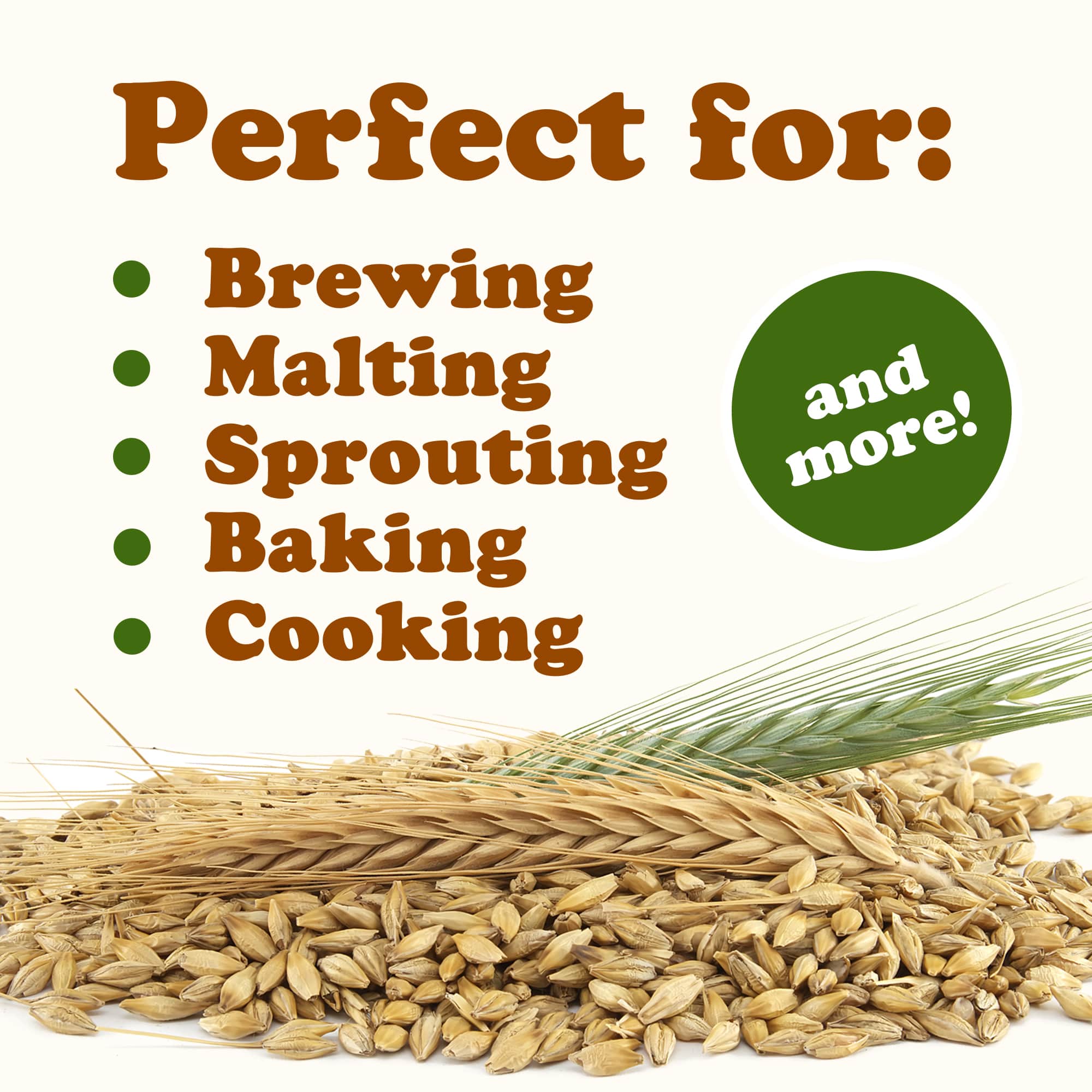 Food To Live - Wholesale Whole Grains - Organic Whole Unhulled Barley - Non-GMO, 100% Natural, Raw5
