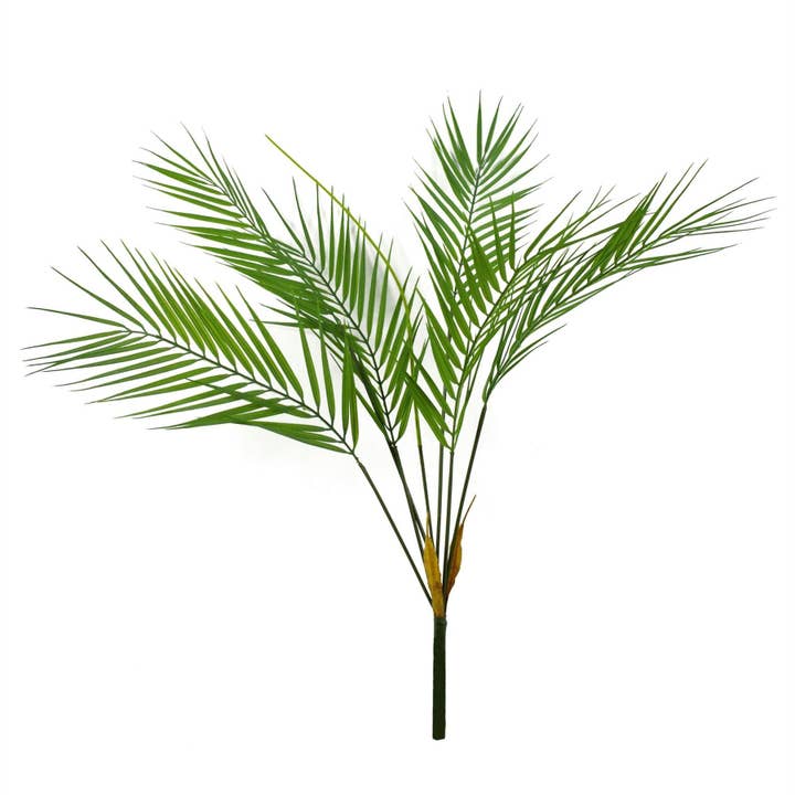 Large Palm Tree No Pot 6 Leaves 75cm for wholesale by Leaf Design UK LTD