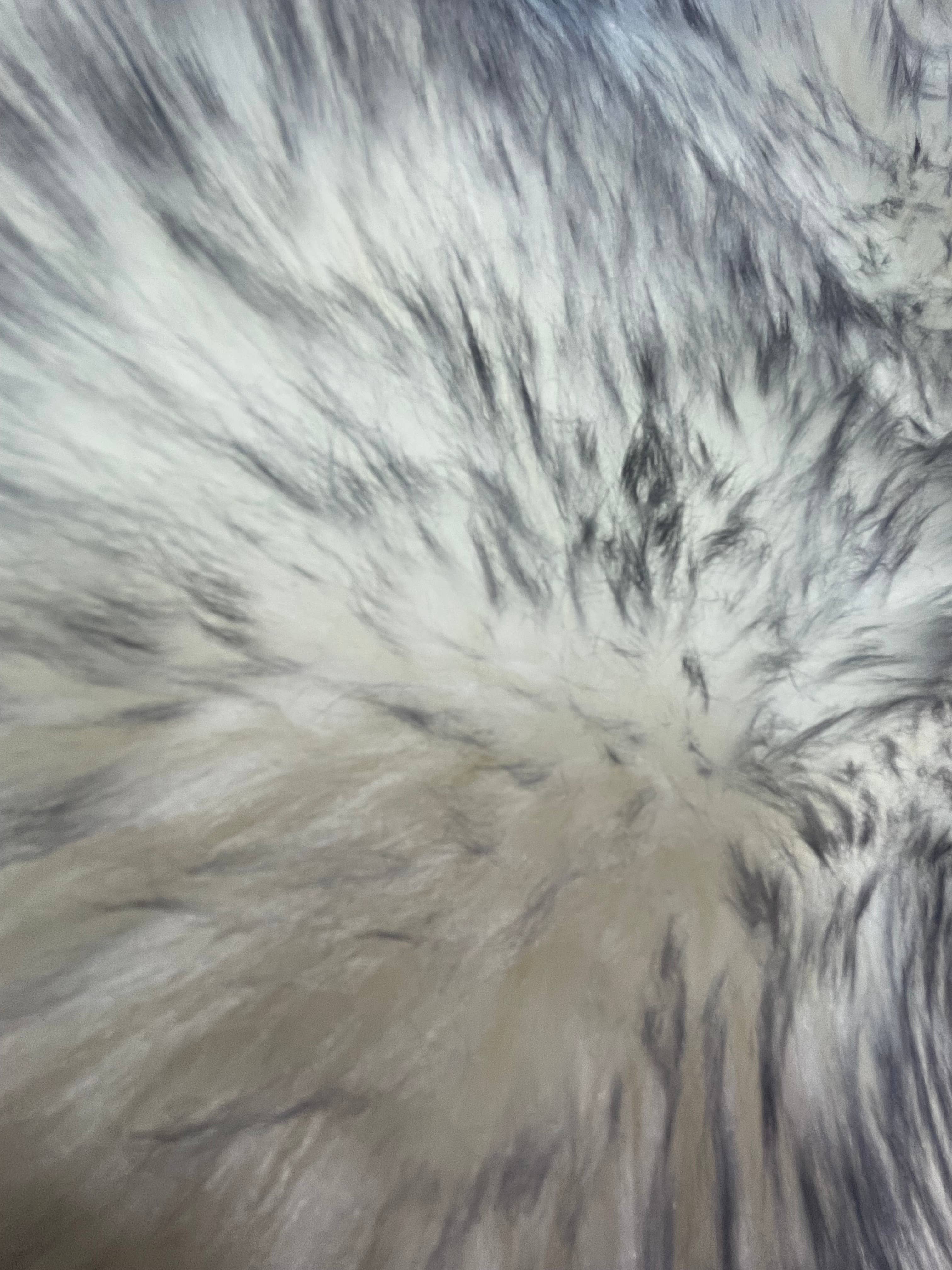 Chesterfield Leather - Venta al por mayor Alfombra pequeña - Alfombra de piel de oveja6