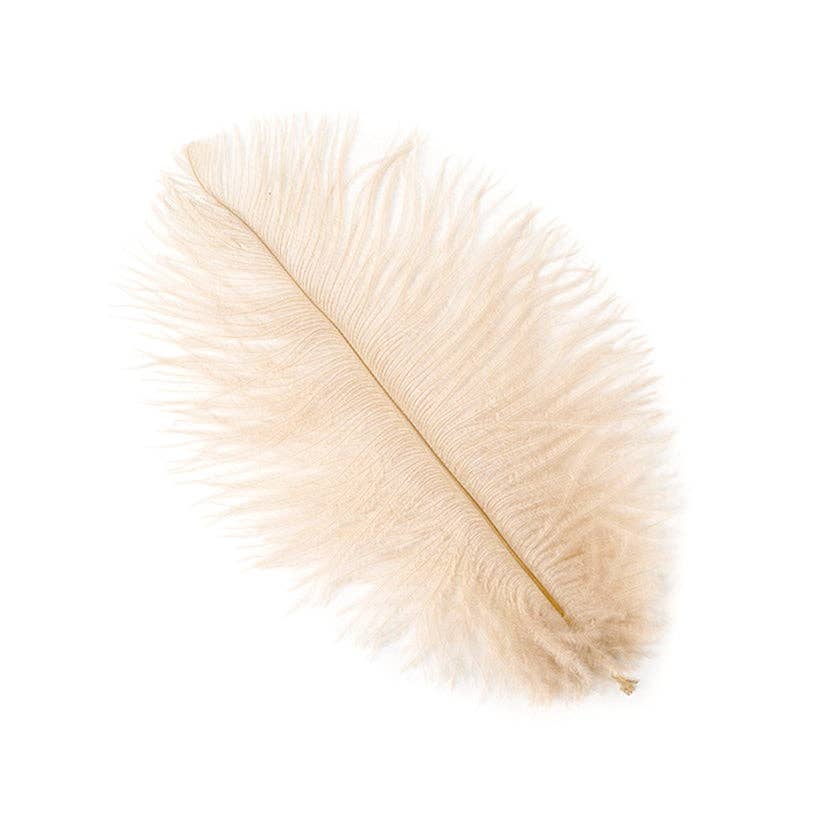 Zucker Feather Products - Wholesale Feathers - Ostrich Feathers 4-8" Drabs - Beige