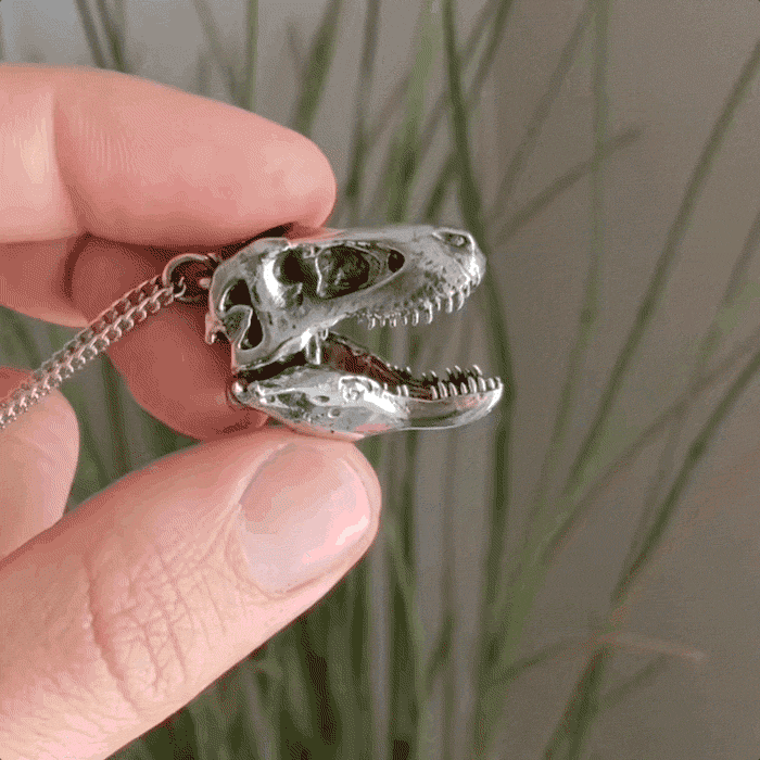 Fire & Bone - Wholesale Pendant/Charm Necklace - Tyrannosaurus Rex8