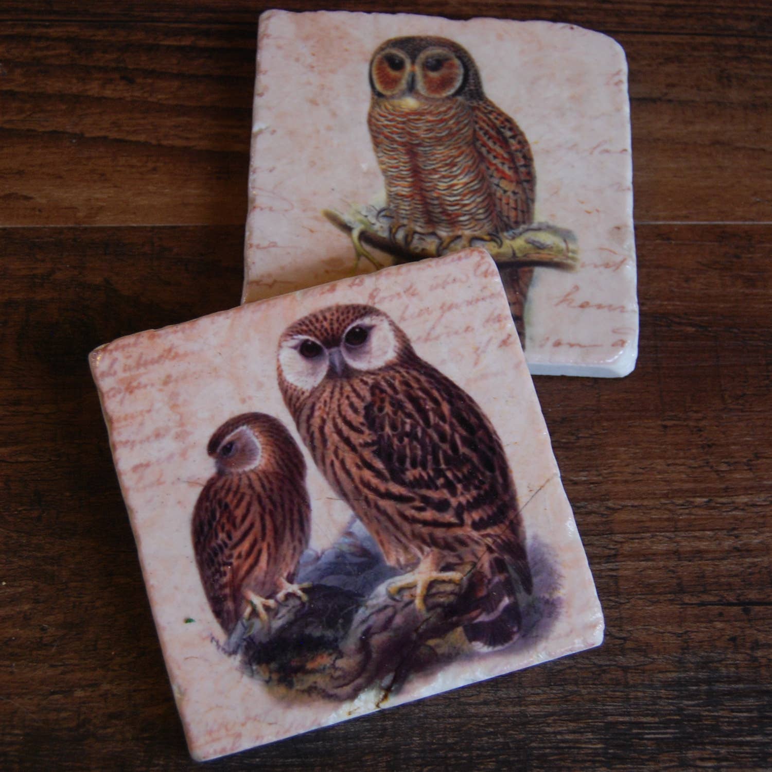 The Painted Lily - Wholesale Coasters - Keepers of the Forest stone coasters - case of 41