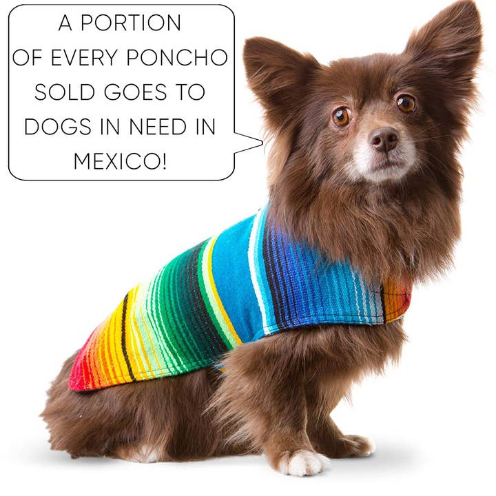 Baja Ponchos - Wholesale Pet Poncho - Dog - Dog Poncho From Mexican Serape Blanket - Blue