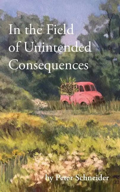Books by splitShops - Wholesale Poetry & Drama - In the Field of Unintended Consequences - Paperback0