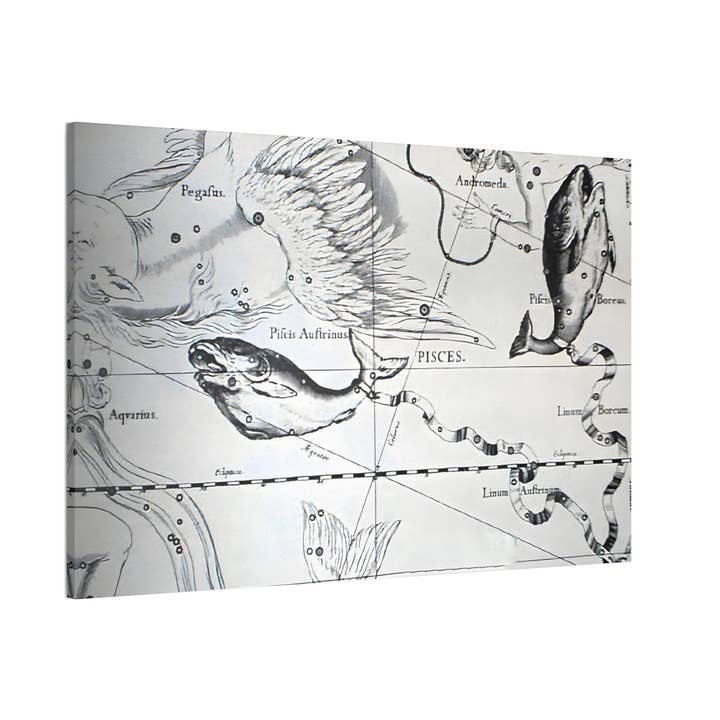 Pisces Astrology Canvas Print - Apothecary Art for Home or Office - Apothecary Decor for wholesale by Print Pothecary