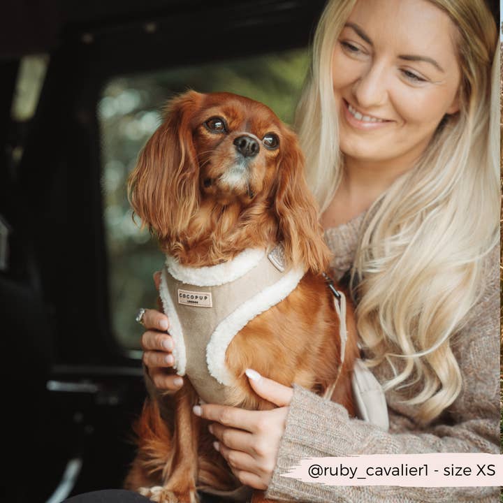 Cocopup London - Vendita all'ingrosso Pettorina - Cani - Pettorina da collo regolabile Nude Aviator11