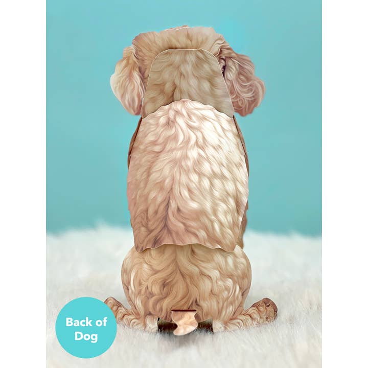 FreshCut Paper LLC - Wholesale Everyday Greeting Card - Poodle (6 Pop-up Greeting Cards)