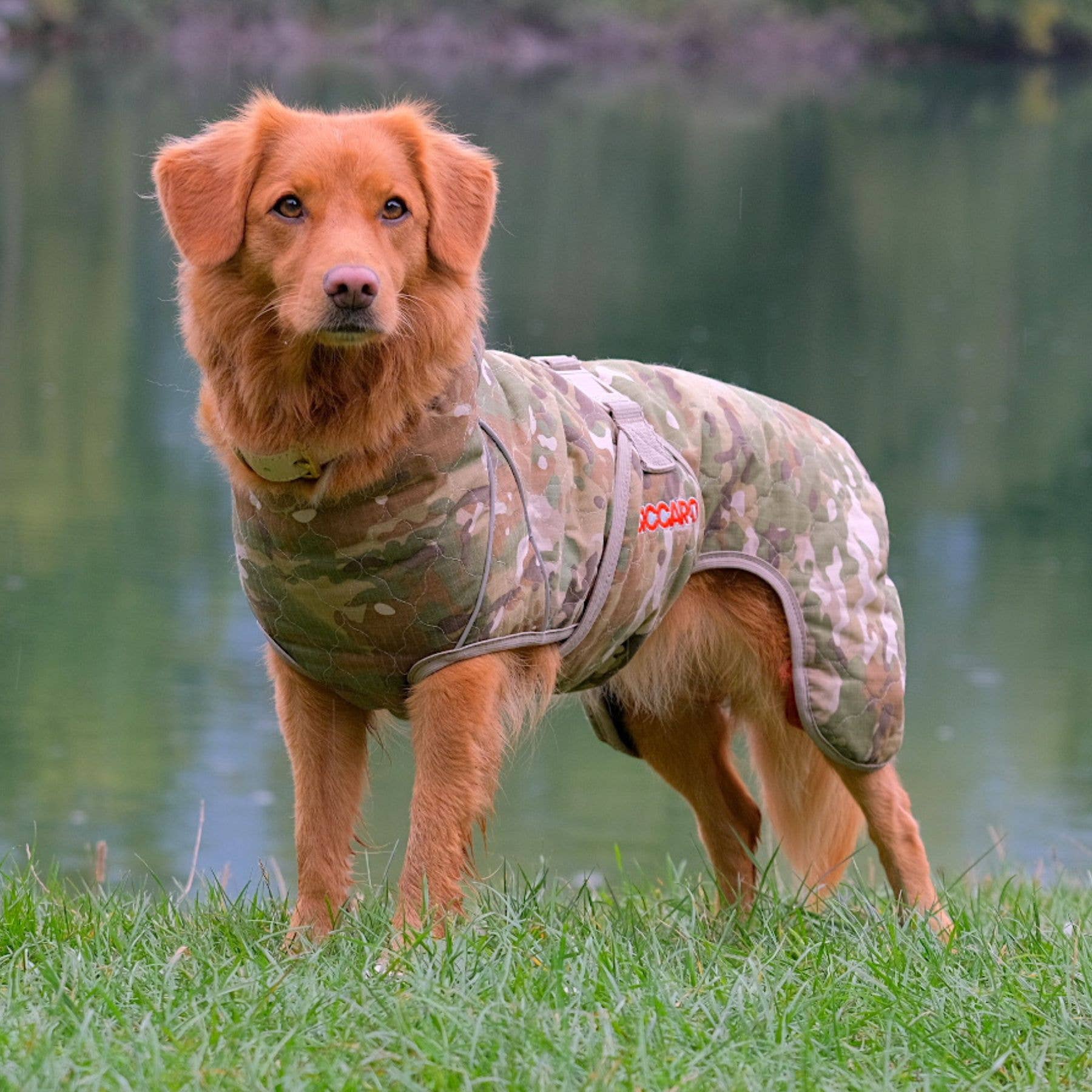 New Camo Spirit 2.0 Water-Repellent Dog Coat for wholesale on Faire5