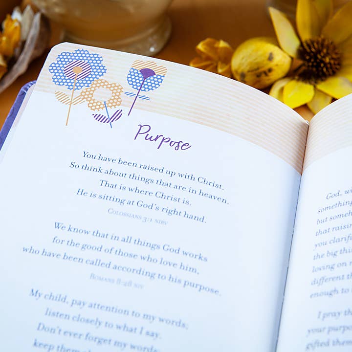 BroadStreet Publishing Group, LLC - Wholesale Book - Adult - Prayers & Promises for Grandmas (Prayer Devotional)