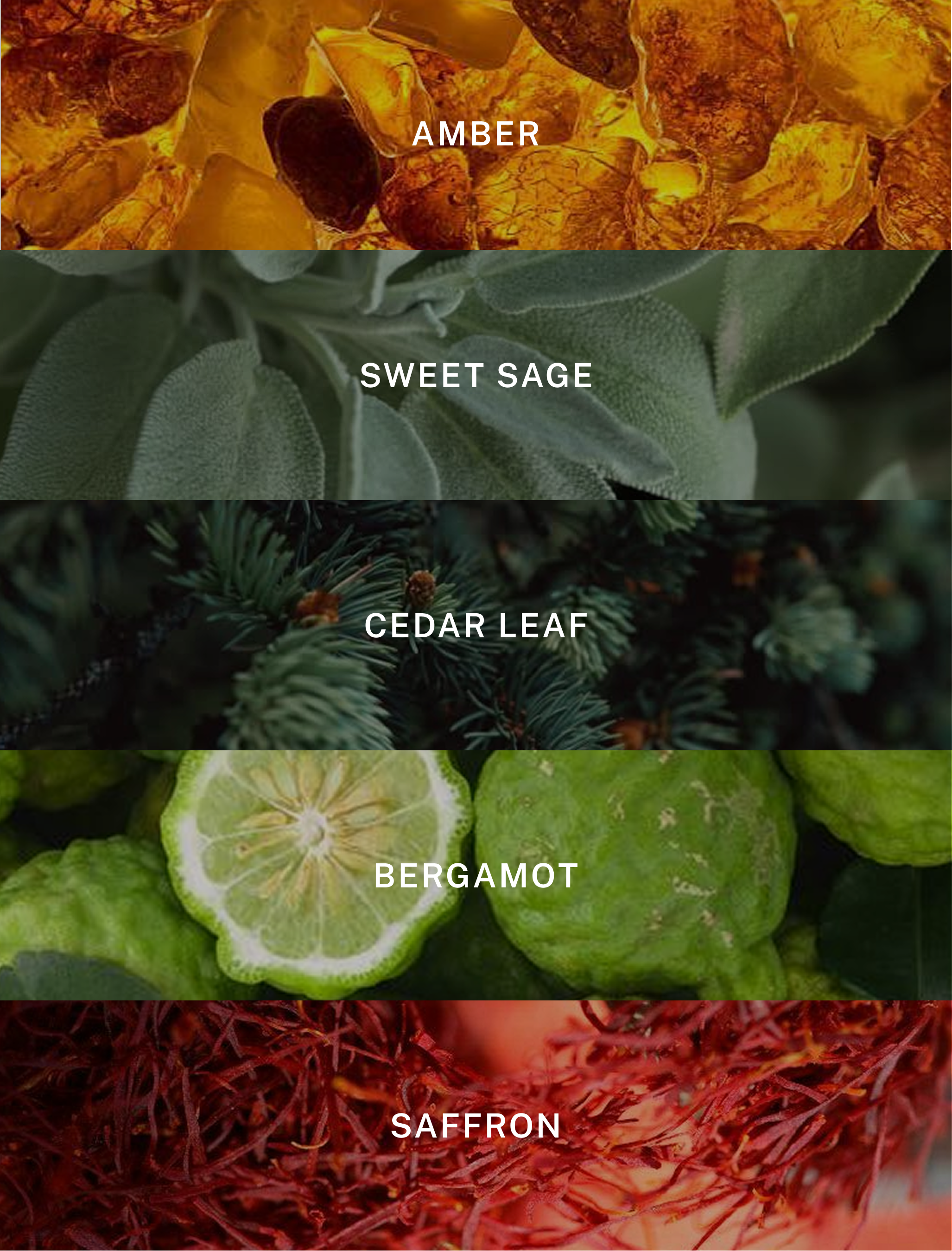 Hotel Lobby Candle - Wholesale Jar/Filled Candle - New York - Luxury Fall Scented Soy Candle - 9.75 oz1