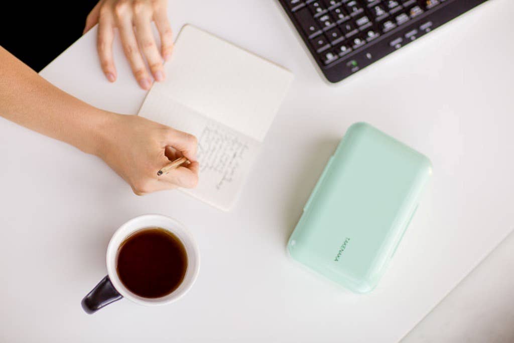 TAKENAKA Bento Box - Wholesale Lunch Bag/Box - Bento Bite Box - Made of Recycled Plastic5