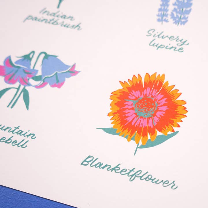 Little Known Goods - Wholesale Art Print - Colorado Wildflowers Print3