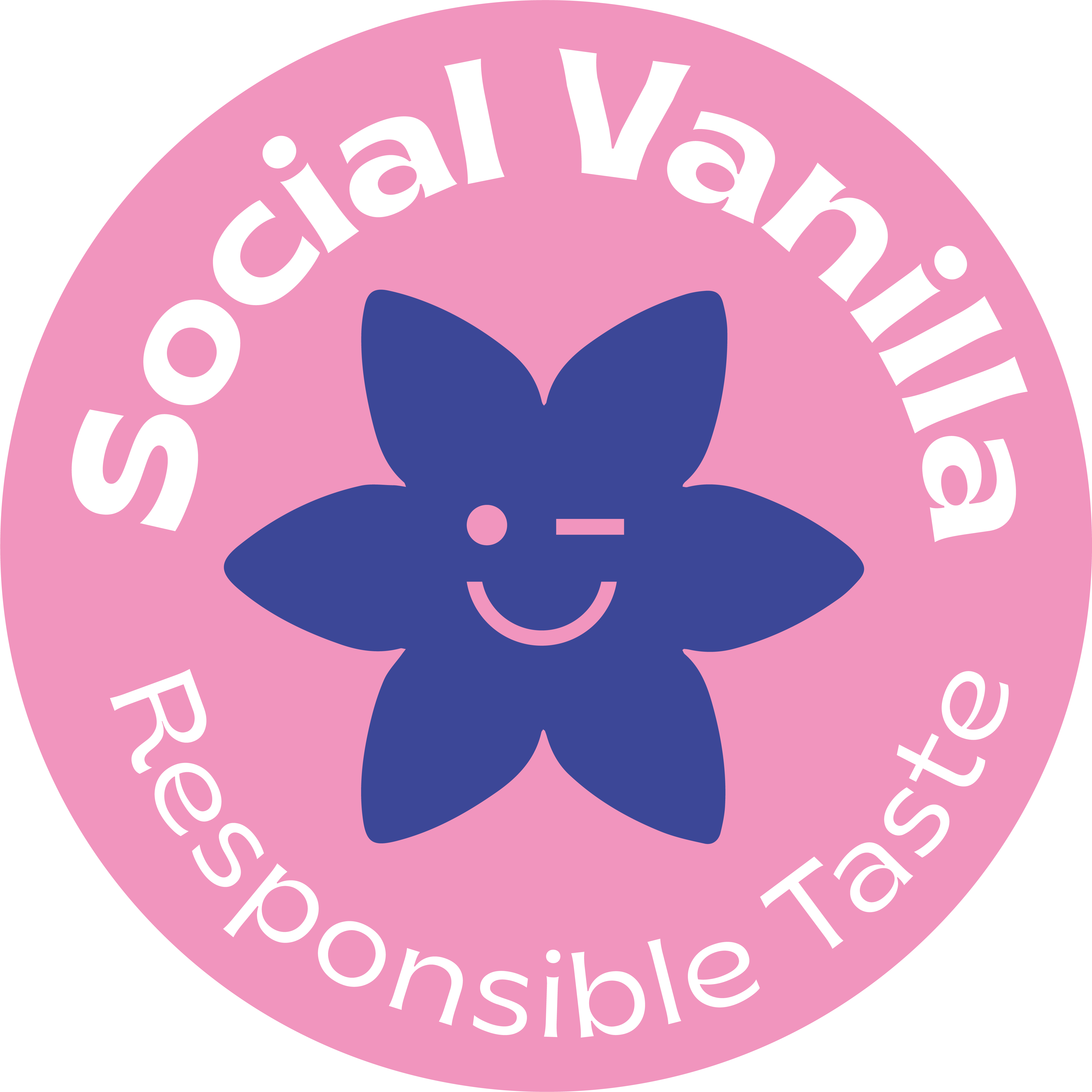 Social Vanilla - Vendita all'ingrosso Estratti di frutta/alla vaniglia - Baccelli di vaniglia gourmet premium 500 grammi1