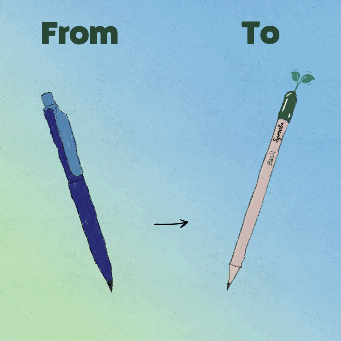 BLOOM your message - Wholesale Plant Seeds - Set of 100 plantable growing pencils incl display box2