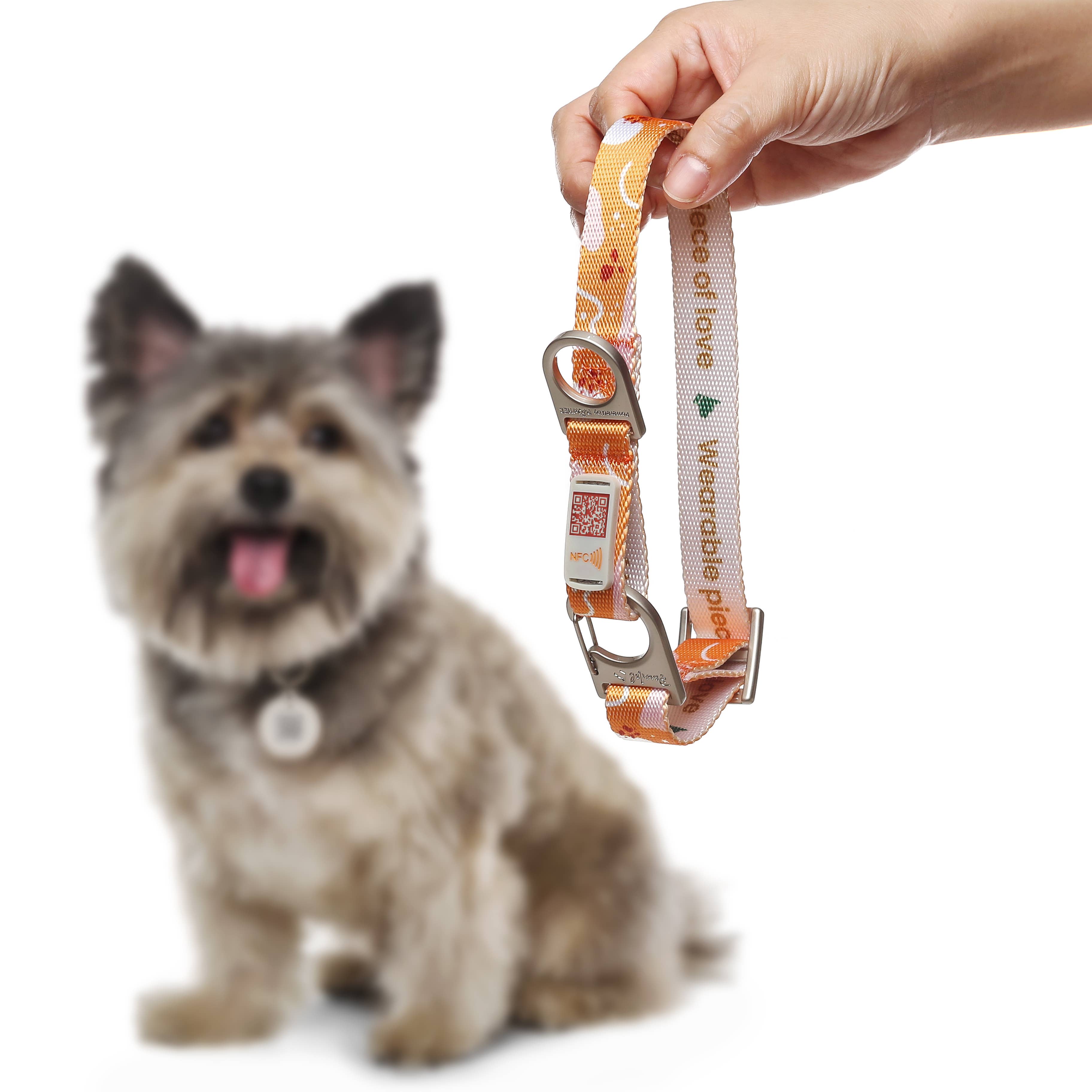 Pawnec - Wholesale Pet Collar - Cat/Dog - NeoCollar15