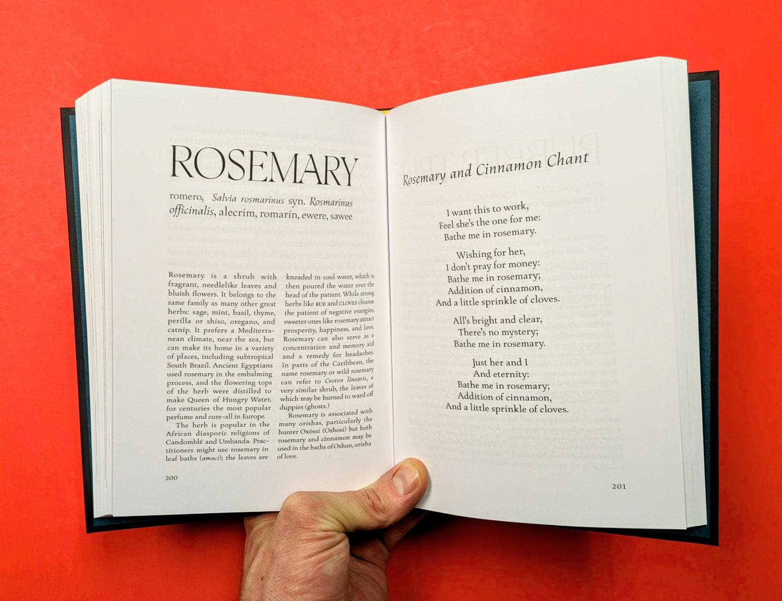 Microcosm Publishing & Distribution - Wholesale Nature & Outdoors Book - The Encyclopedia of Rootical Folklore2