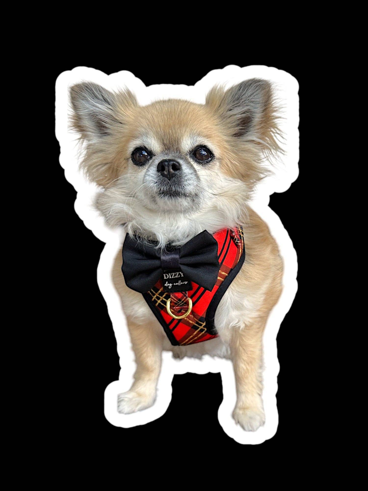 Dizzy Dog Collars - Vente Harnais – chien - HARNAIS POUR CHIEN | Carreaux Rouges et Or | Harnais Réglable avec Nœud Papillon Amovible en Option3