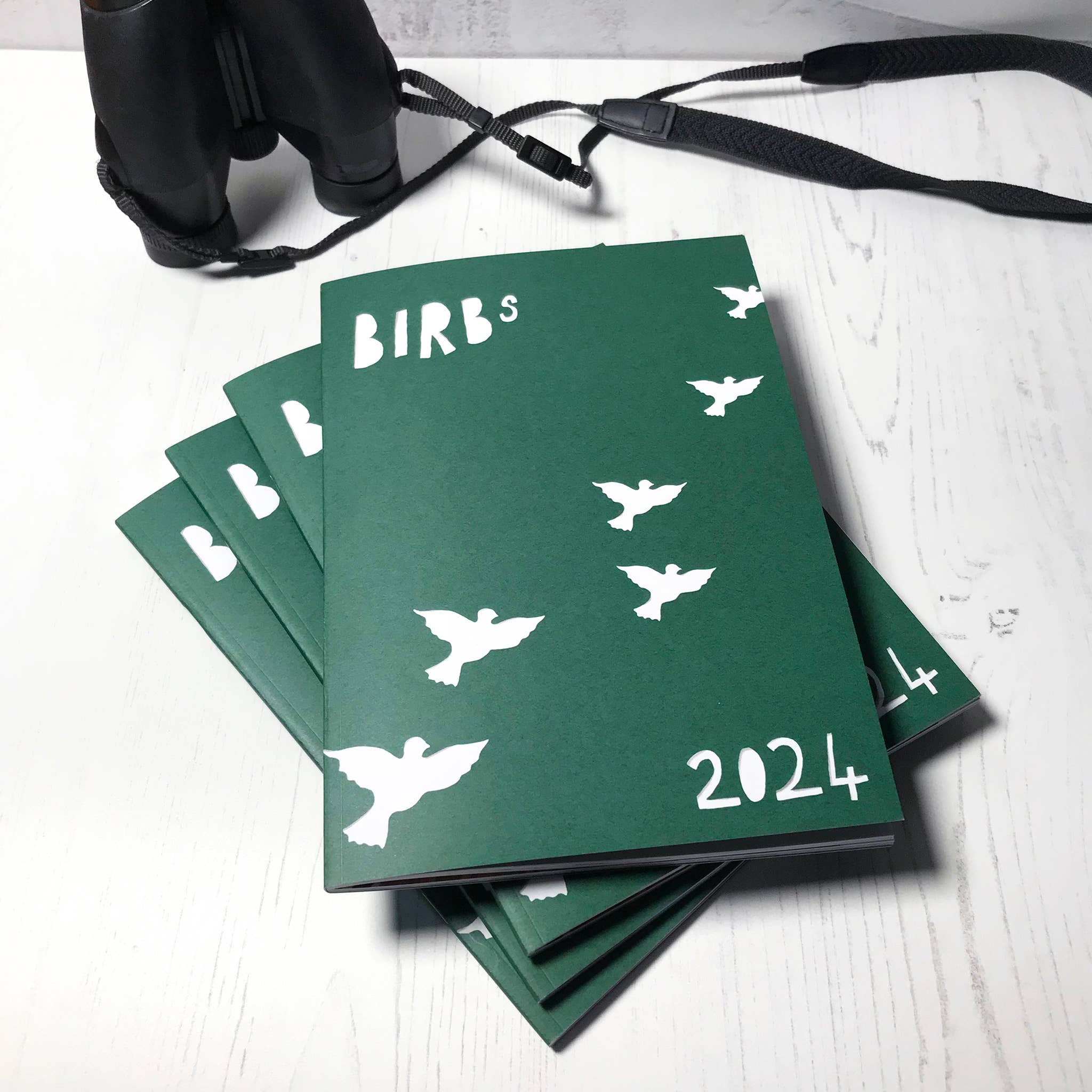 Loadofolbobbins - Wholesale Nature & Outdoors - Bird Illustration Zine 20241