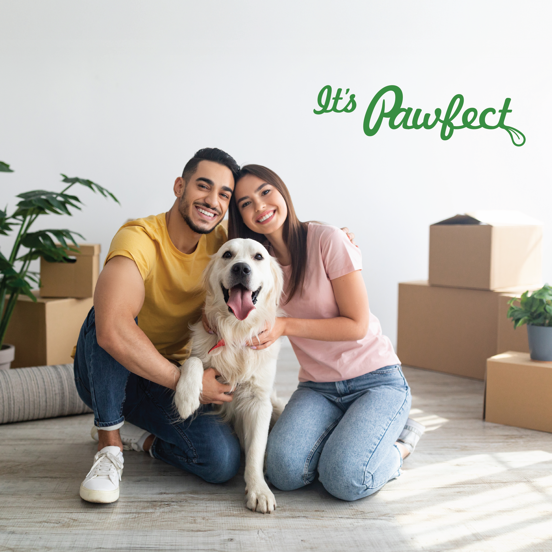 Pawfect Foods – Engroshandel Godbid - Hund – Pawfect Himalaya Ostetygger med Æble, Mango & Kokos til Hunde | Helt naturlig tandstik | Rig på protein & calcium | Kornfri | Langvarig tygge | Pakke med 36