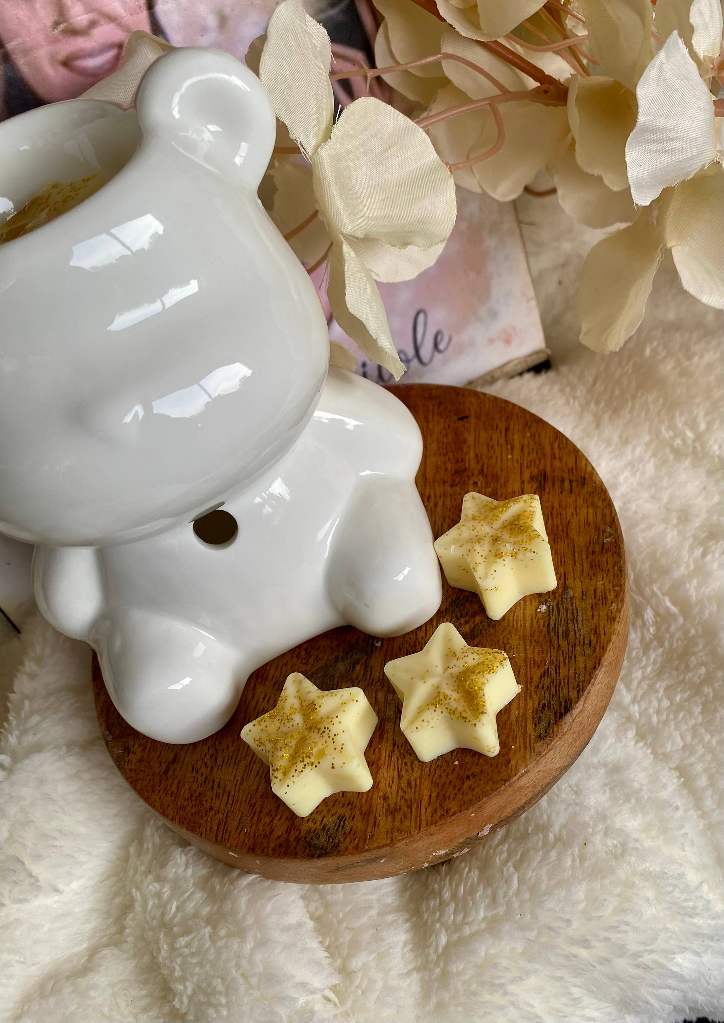 Les folies de Nicole - Wholesale Wax Melt - 🌟Falling Stars Freshness2