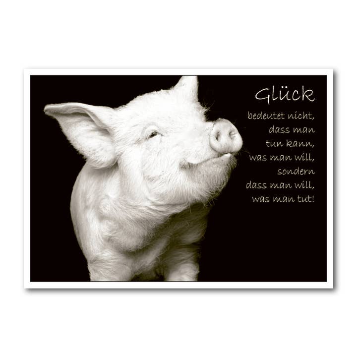 Vykort liggande format B/W DIN A6 MG1411 för wholesale av Gutrath Verlag