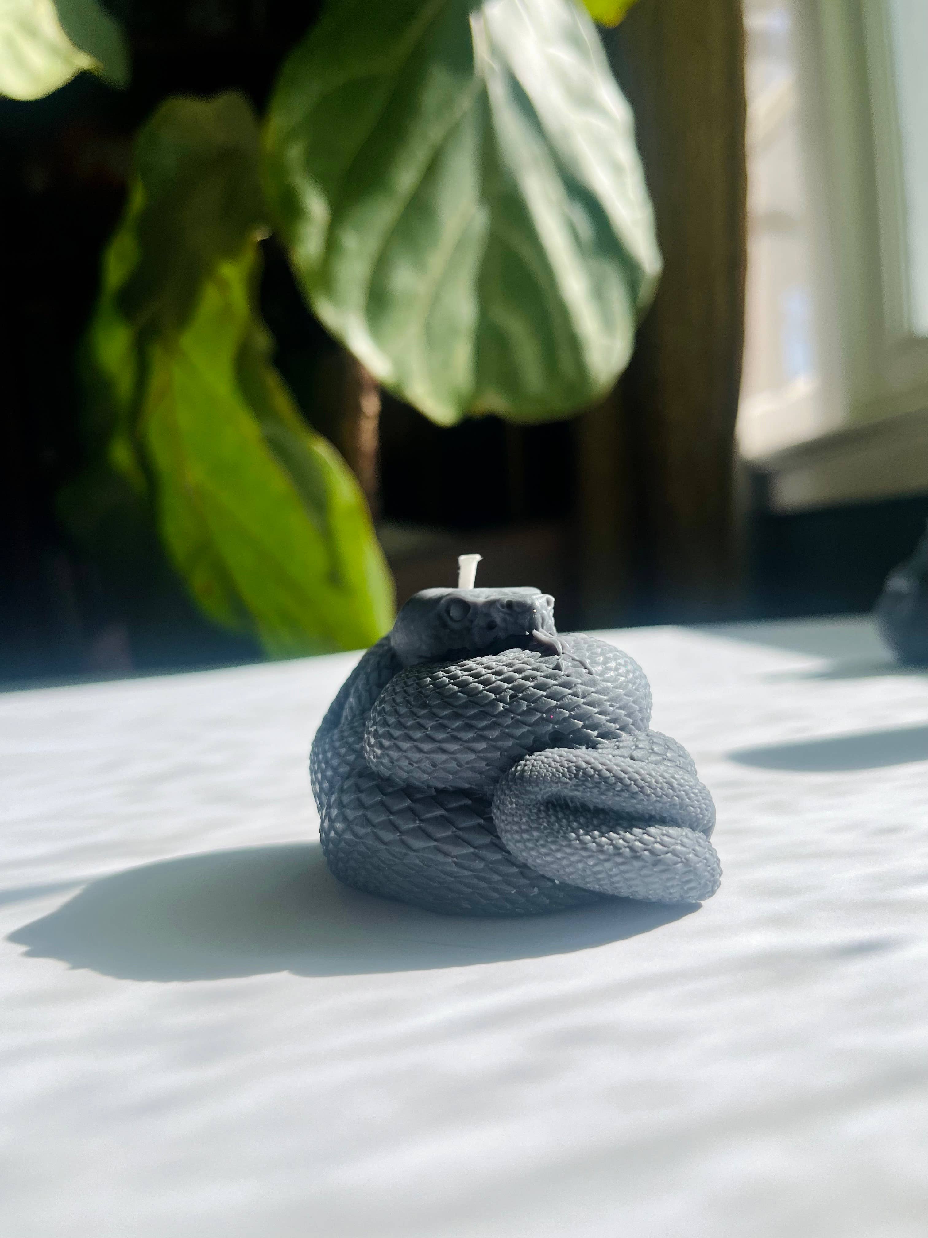 Beauty and the Moon - Wholesale Pillar Candle - Black Snake Candle | Witch Candle | Snake Art | Beeswax Soy 3