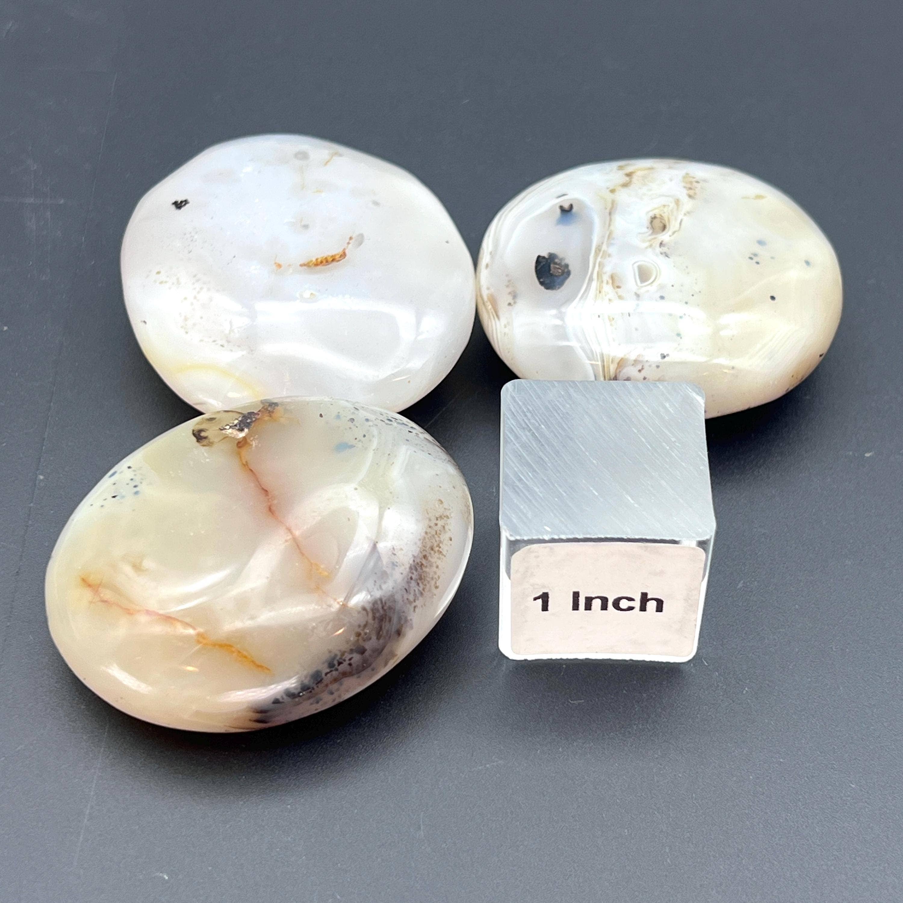 Crystal River Gems LLC - Wholesale Spiritual Stone/Crystal - Dendritic Agate Polished Palm Stone1