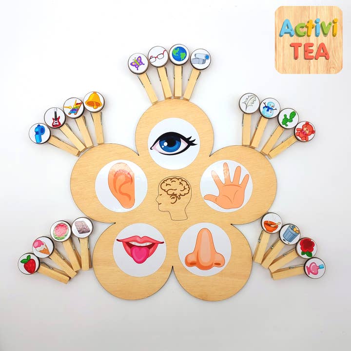 Activitea - Wholesale Wood Toy - Kids - Game of the five senses2
