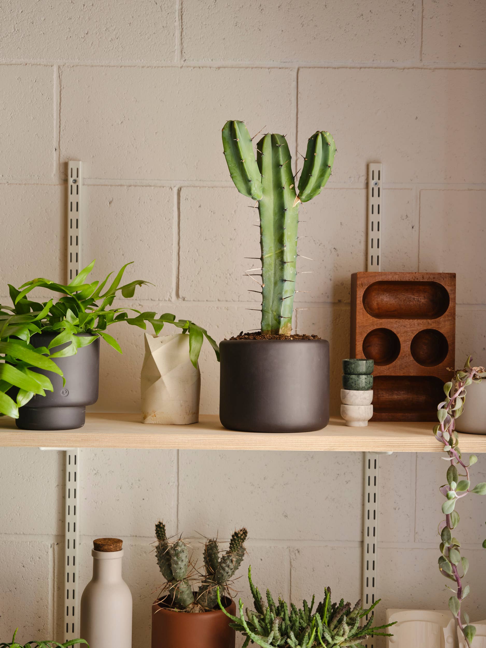 Aaron Probyn - Wholesale Plant pot - BOTANY porcelain Plant Pot SMALL2