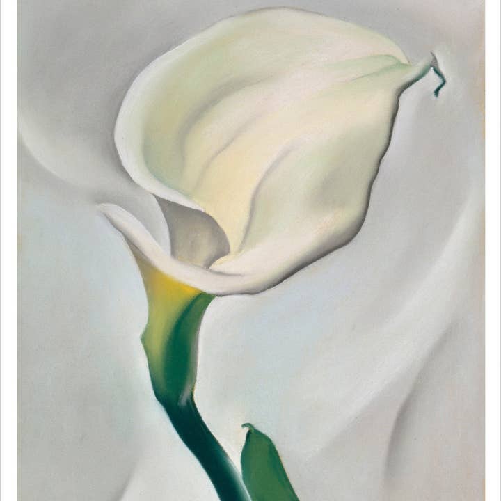 Pomegranate - Wholesale Postcard Set - Georgia O'Keeffe Book of Postcards2