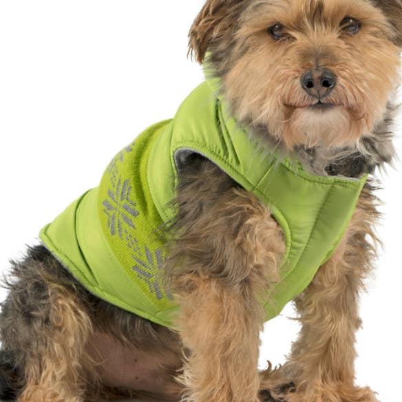 Nordic Dog Coat Green XL for wholesale by Ancol Pet Products Ltd