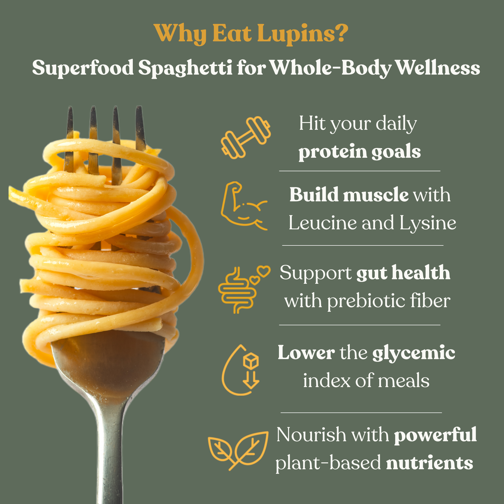 Chef's Kiss - Wholesale Pasta - Lupine-eiwitspaghetti5