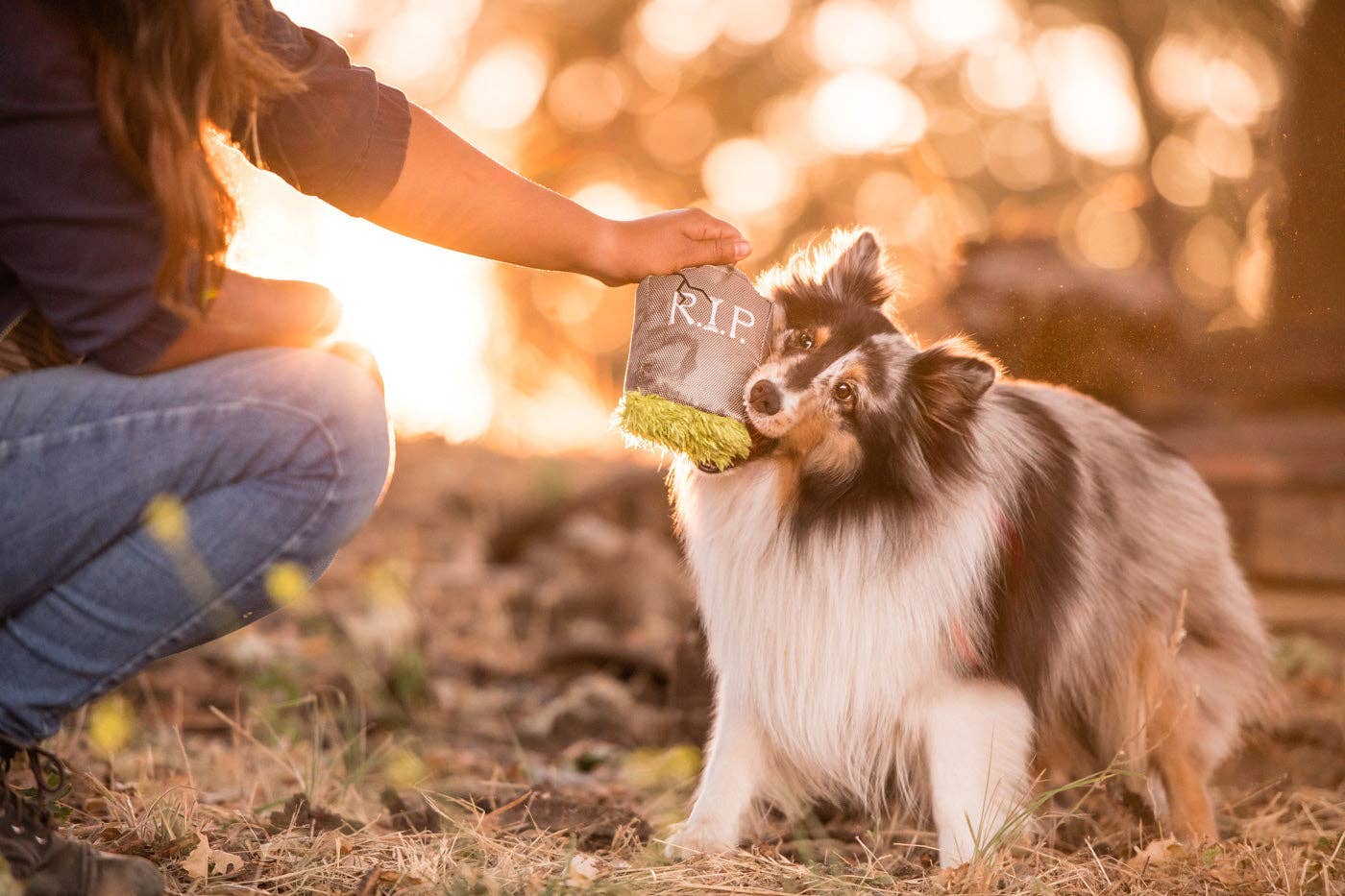 Only An Ocean Europe - Wholesale Pet Plush Toy - Dog - P.L.A.Y Howling Haunts Ghoulish Grave5
