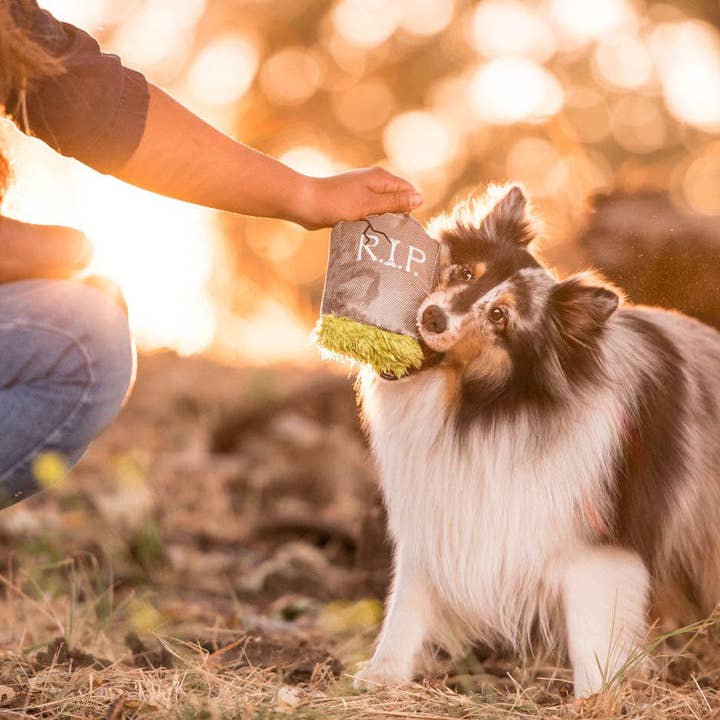 Only An Ocean Europe - Wholesale Pet Plush Toy - Dog - P.L.A.Y Howling Haunts Ghoulish Grave5