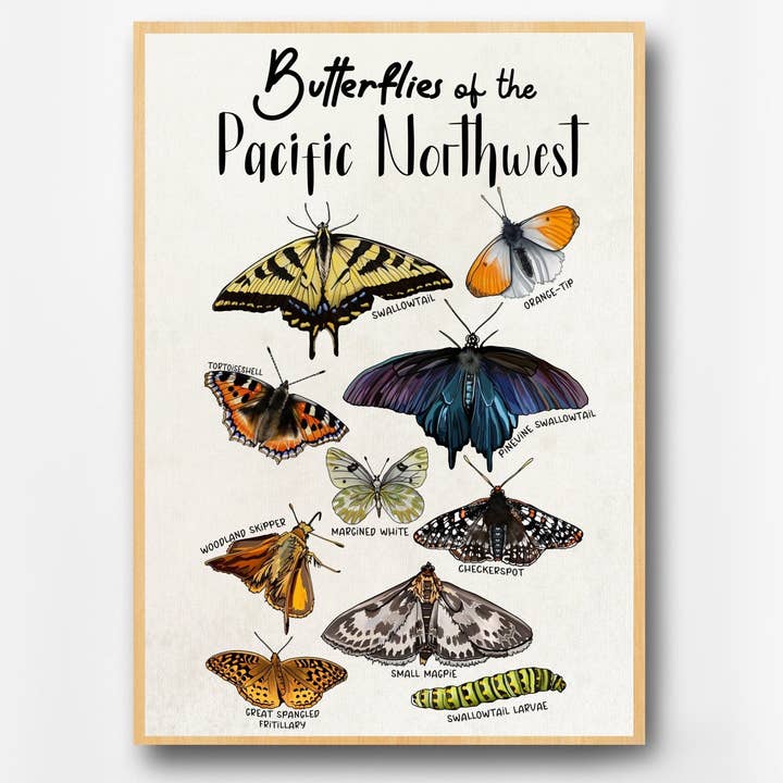 Pacific Northwest Butterflies | Botanical Art Poster for wholesale by Wild Life Design Co.