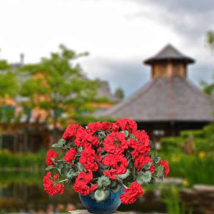 Larksilk - Wholesale Artificial Flowers - Red Geranium Bush: 18-Inch, 7 Silk Flowers & Leaves