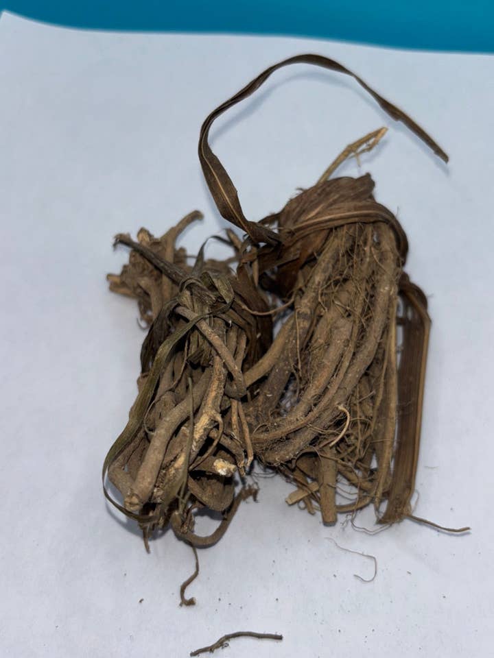 Radice di legame sciolto/ Egbo Tude per la vendita all'ingrosso da parte di Babalaje