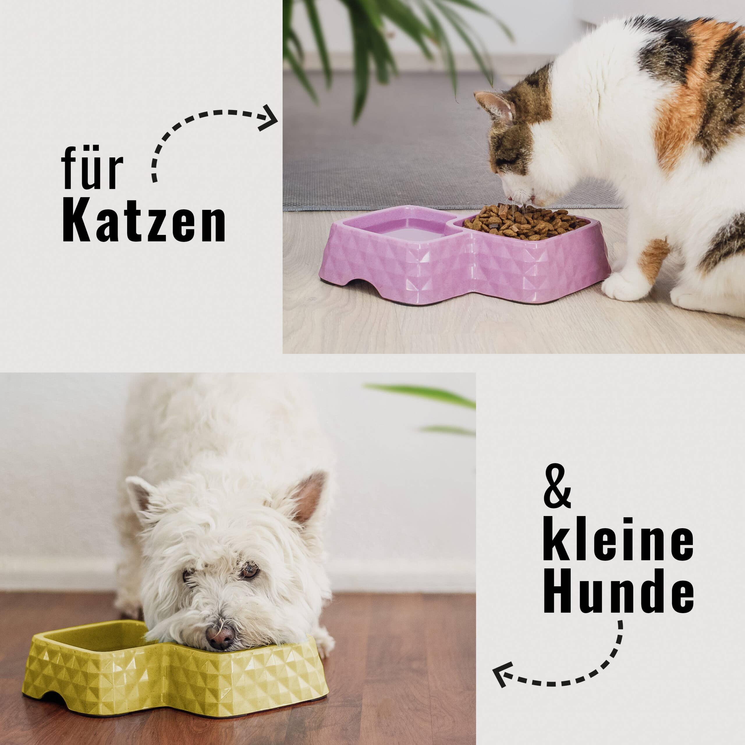 ne&no - Wholesale Pet Bowl - Cat/Dog - ne&no® Bamboo Double Bowl for Cats & Dogs - Non-Slip3