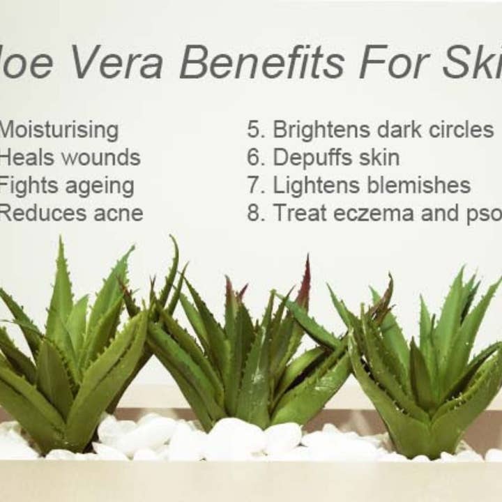 Organic Hair Solution – wholesale Anti-aging moisturiser – CELLULITE & Stretch Marks Treatment-Anti-Aging - Deeply Penetrates Skin to Break Down Fat Tissue- Firms, Tones, Tightens Moisturizes Skin4