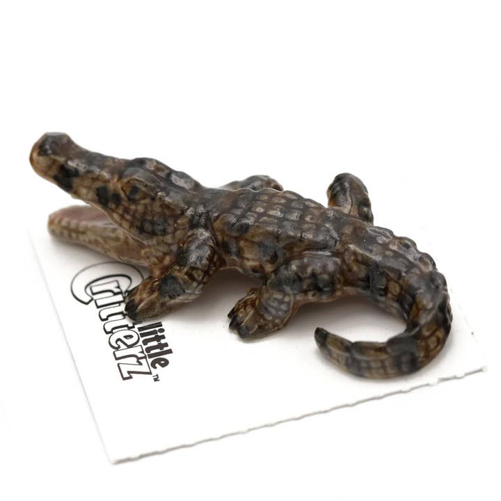 Little Critterz - Vendita all'ingrosso Statuette decorative - Miniatura in porcellana di coccodrillo americano Mississippi