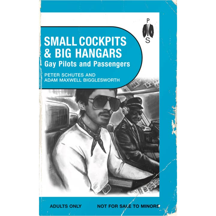 Small Cockpits And Big Hangars for wholesale by Peter Schutes Publishing