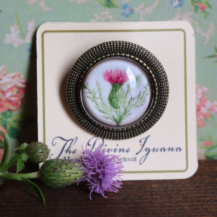 The Divine Iguana - Wholesale Brooch - Scottish Thistle Glass Cabochon Brooch