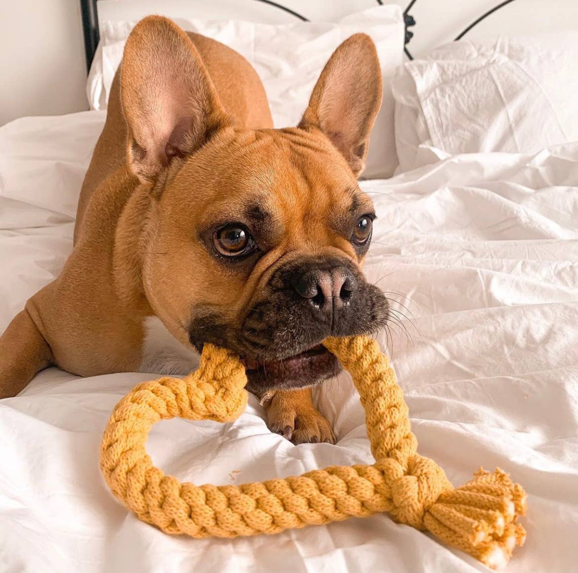 Muttsie UK – wholesale Pet rope toy – Dog – Heart Dog Toy6