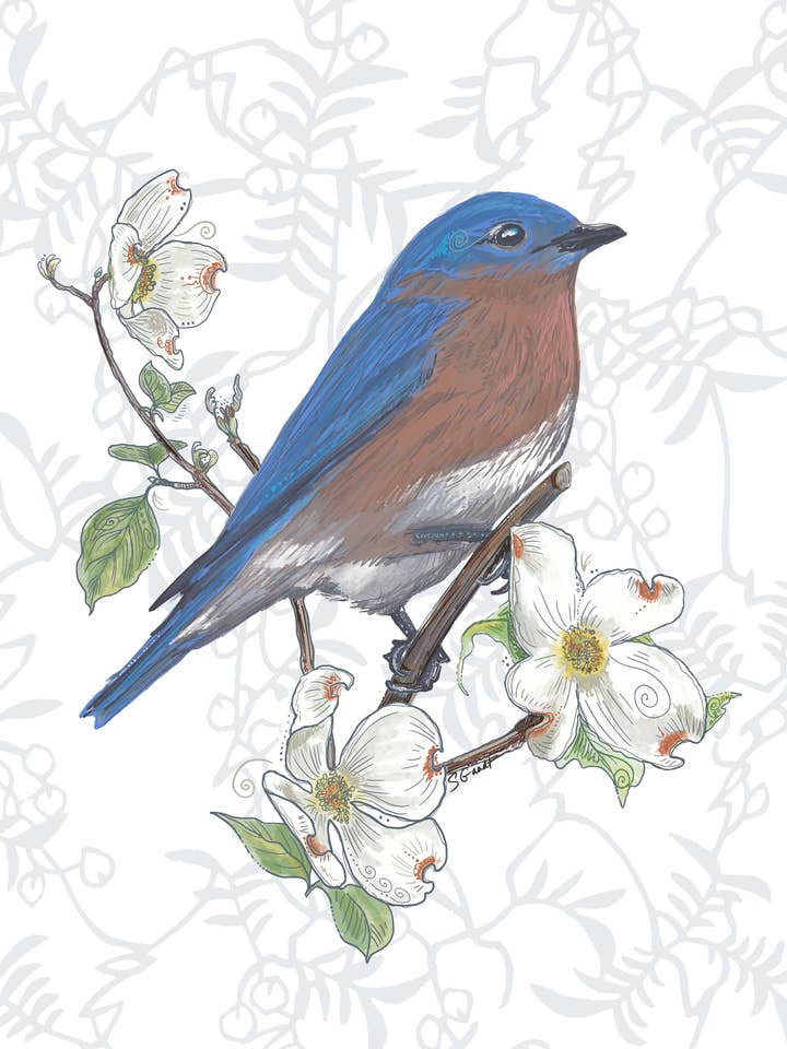 Tarjeta Bluebird con Dogwood para venta al por mayor de Give A Fig